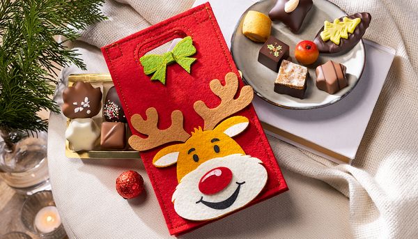 Filztäschchen Rudolph