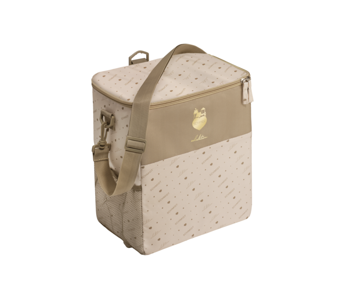 Cooler bag with different carrying functions